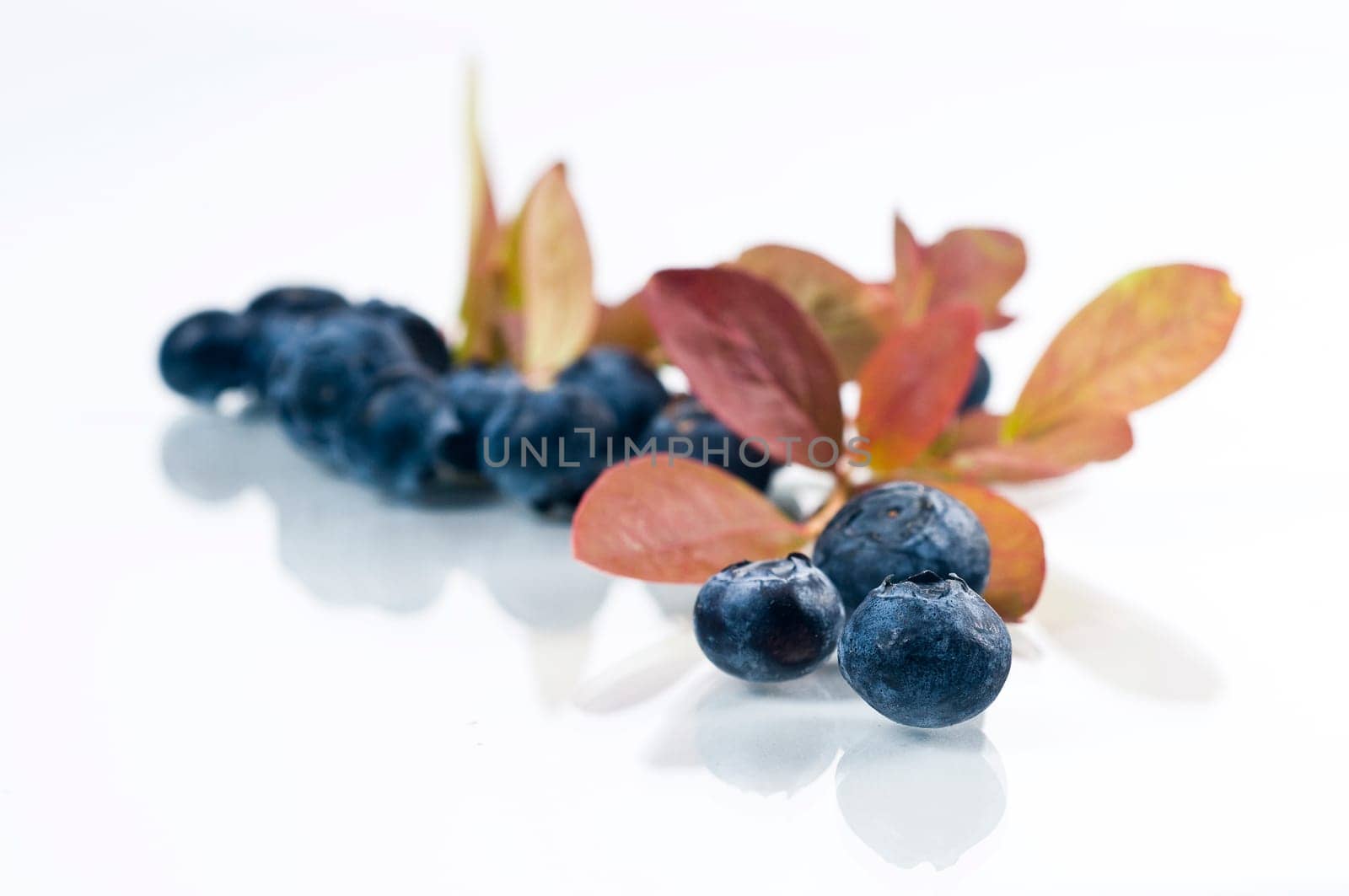 Blueberries with reflection