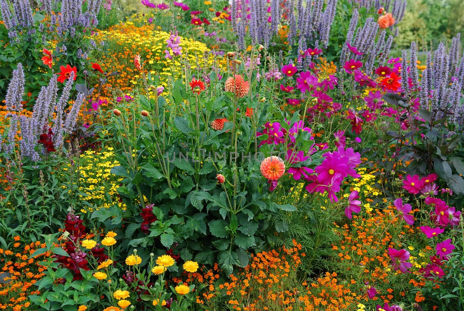 Flowerbed