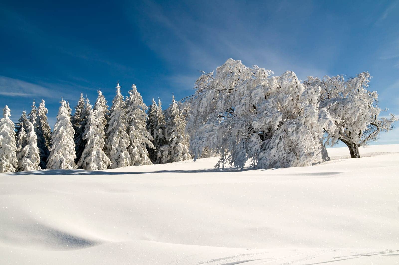 Winter200917