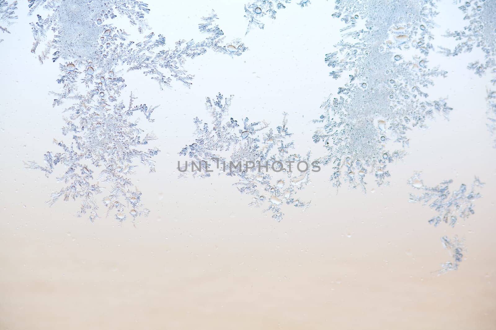 Ice Flowers