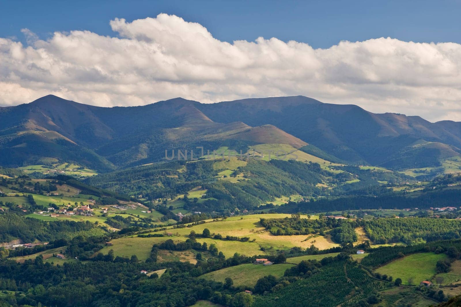Rural landscape