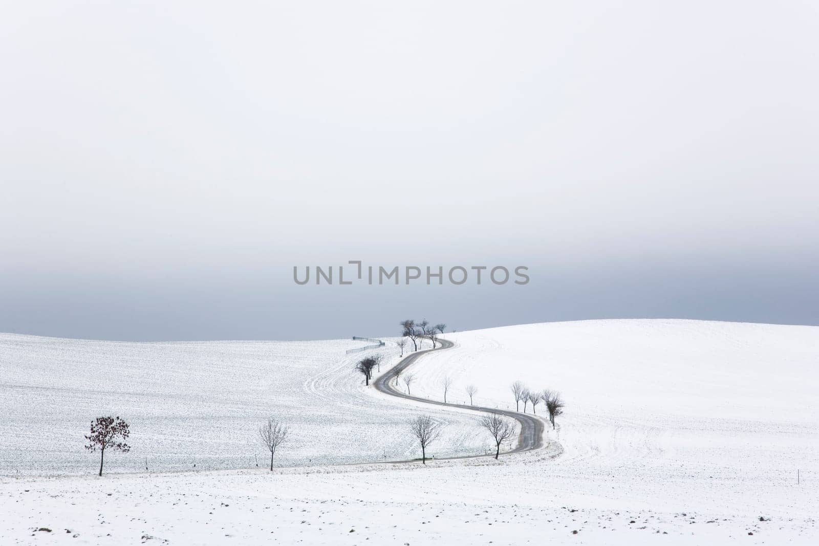 Road and fields in winter