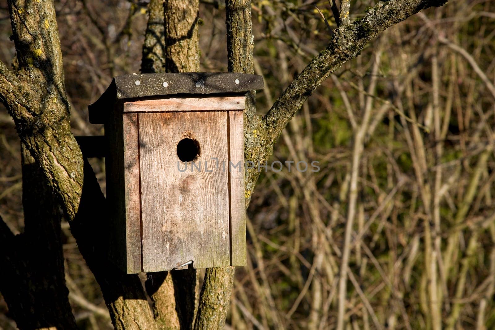 Self-made nest box