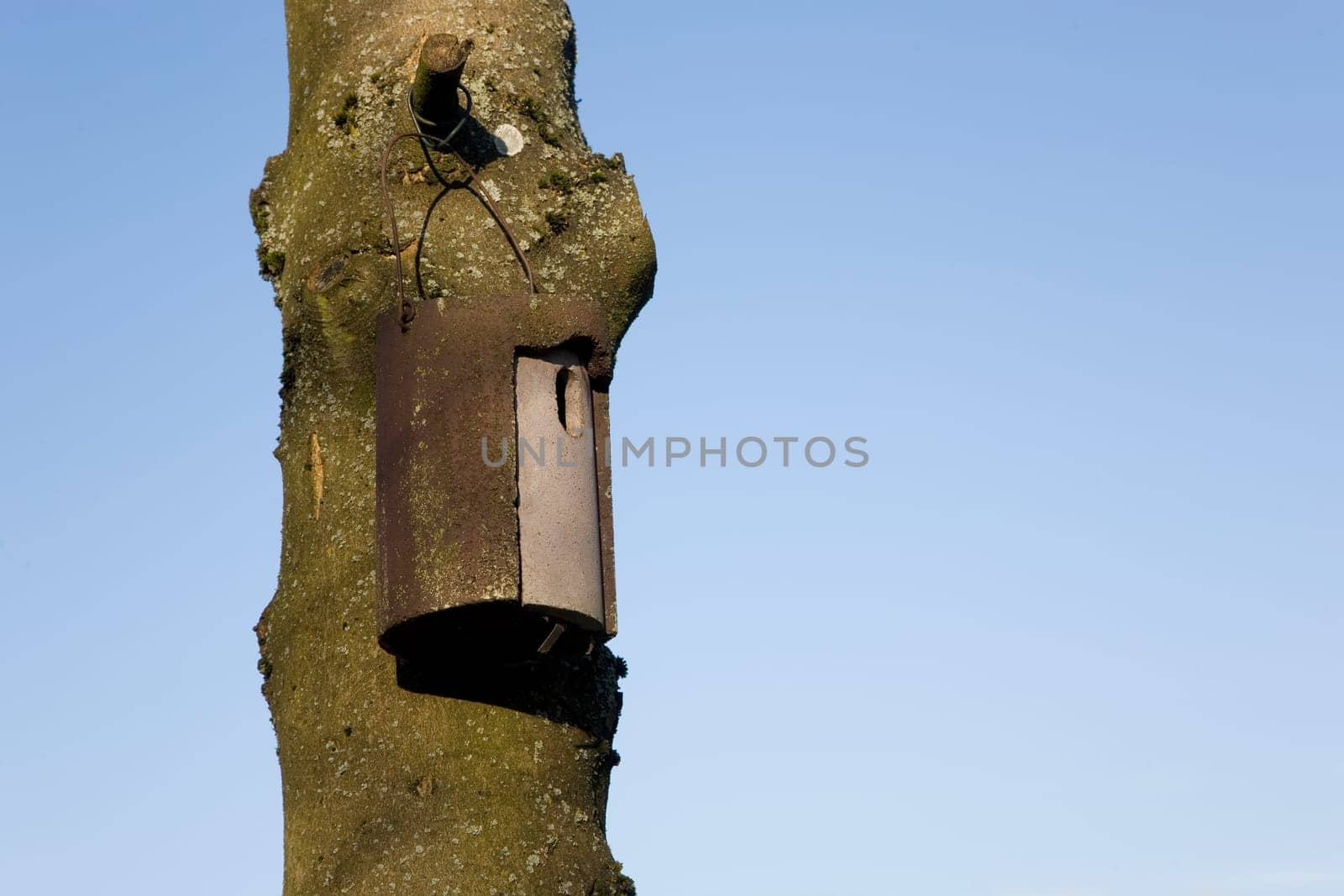 Self-made nest box