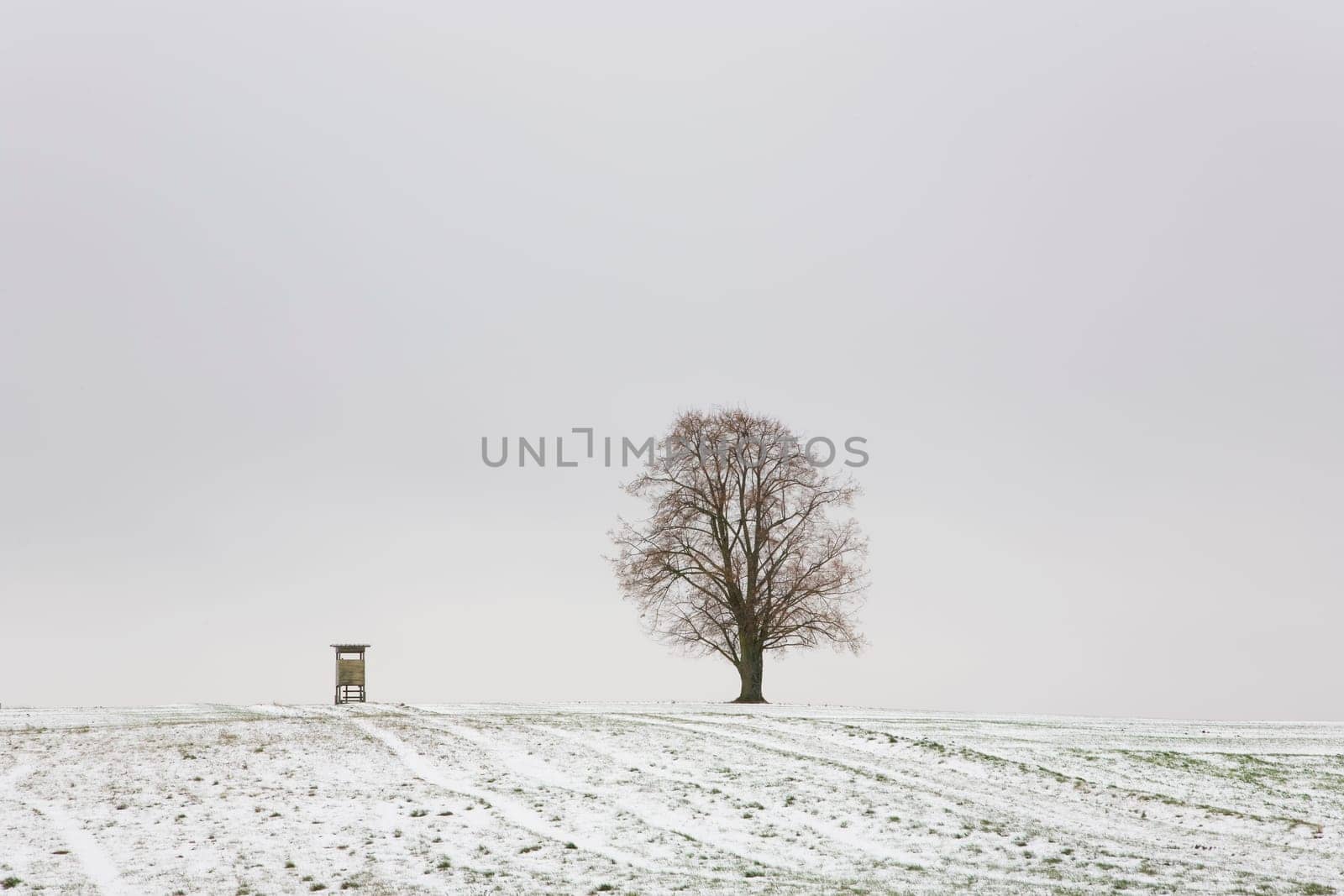 Tree and high seat in winter