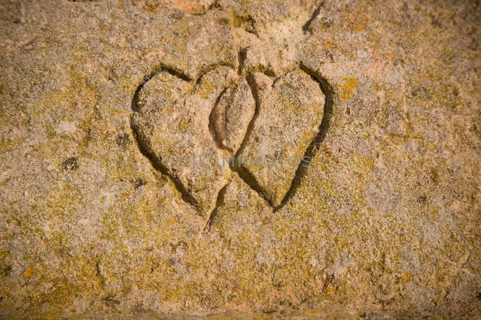 Hearts in the Stone