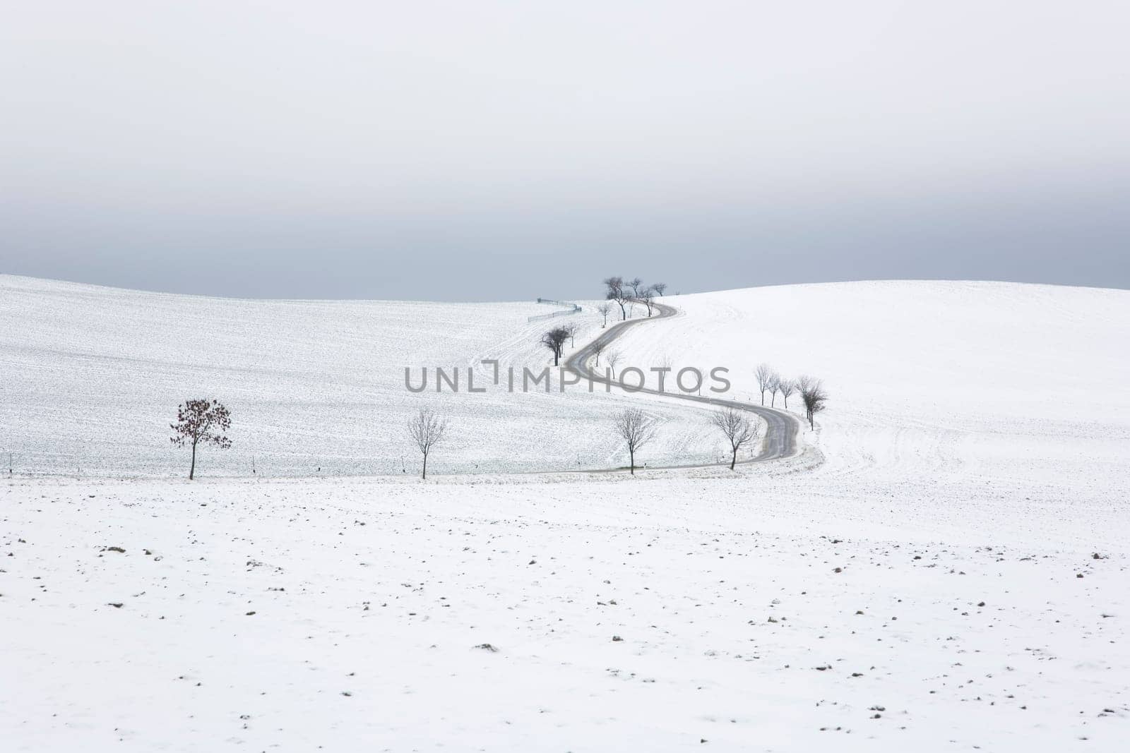 Road and fields in winter