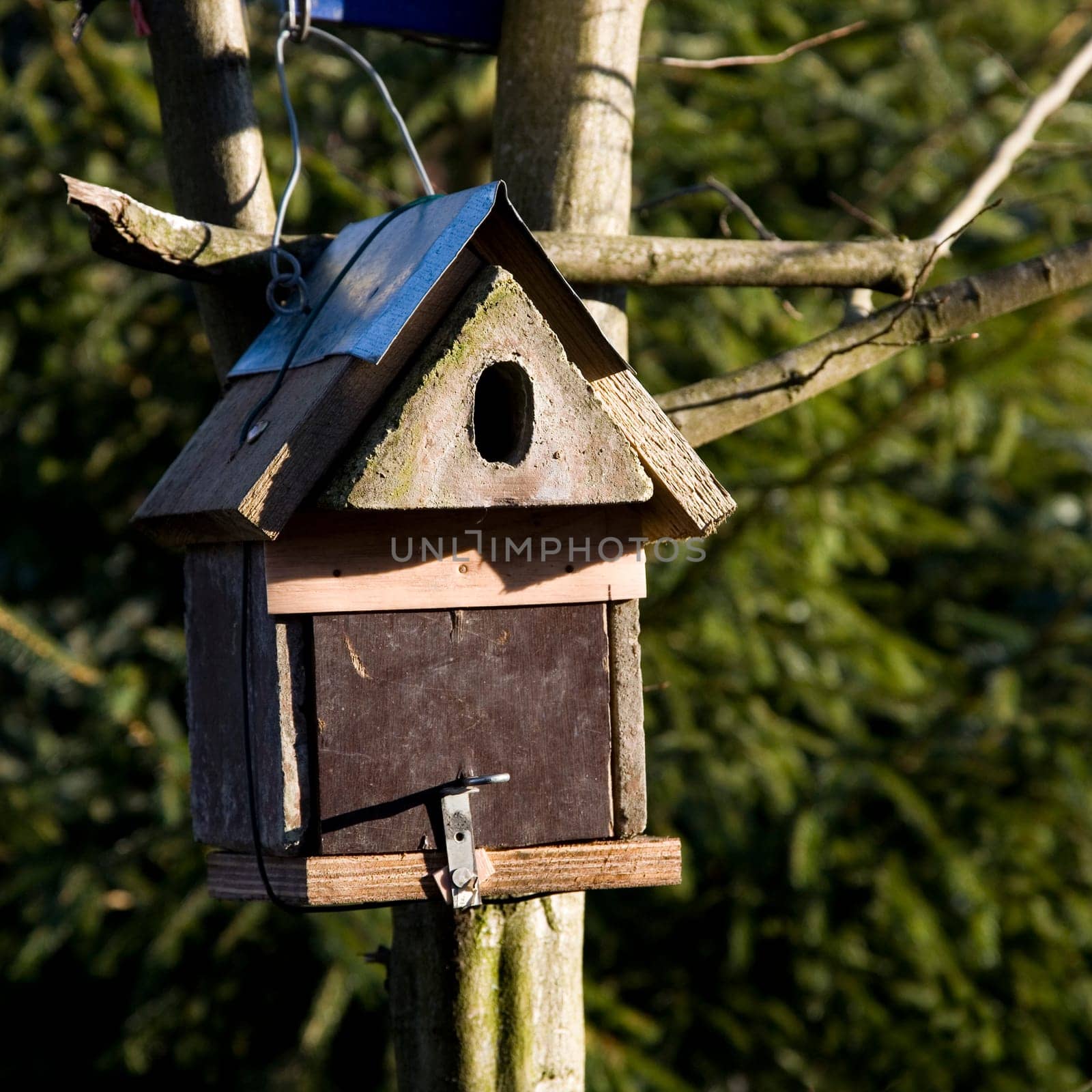 Self-made nest box