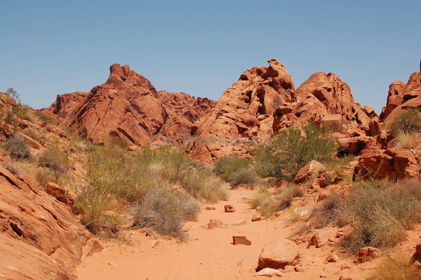 Valley of Fire USA