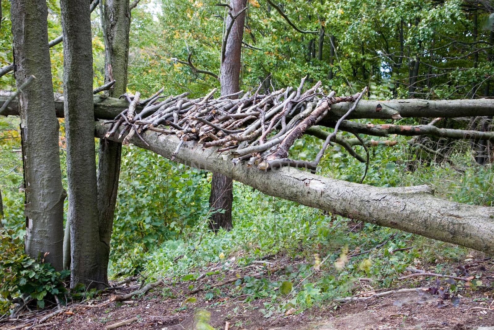 Landart - Nature art on the Staffelberg