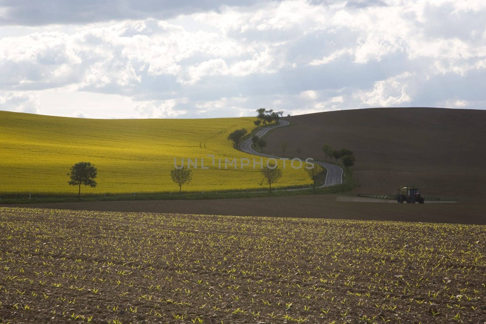 Road and Fields