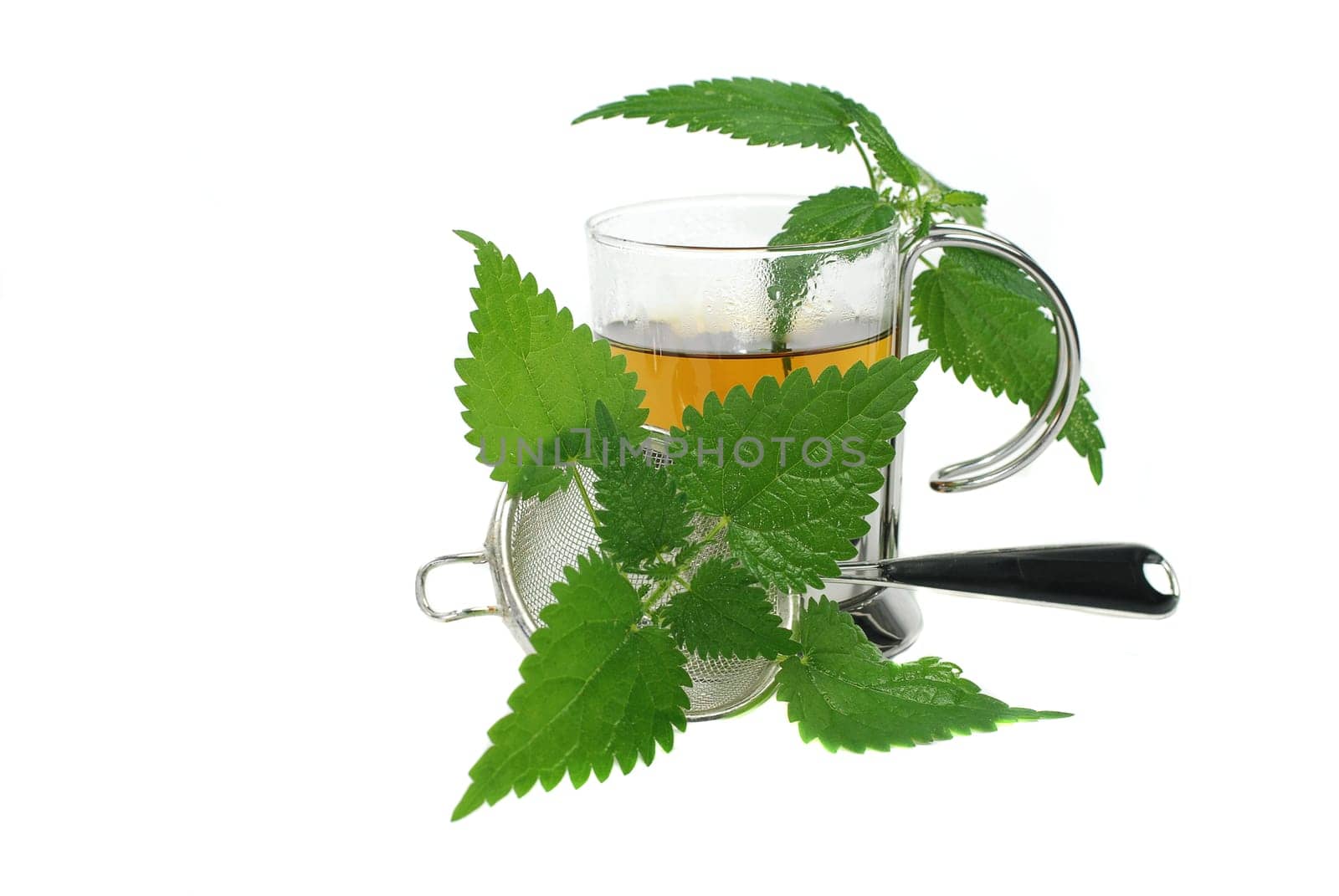 Nettle Tea