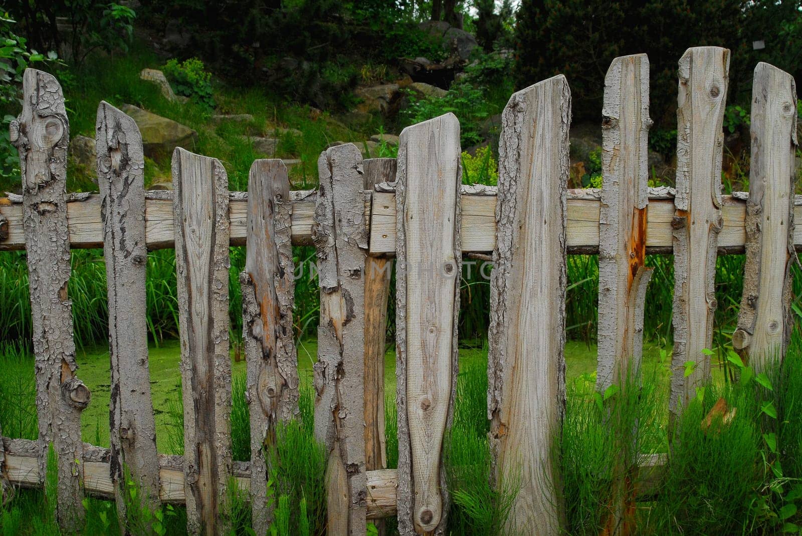 Natural fence
