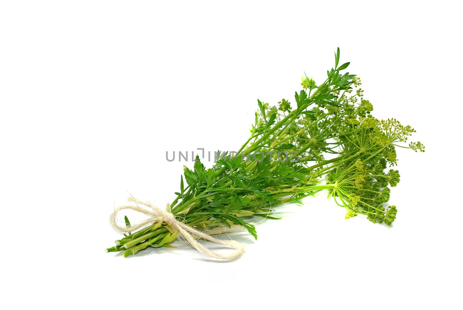 Parsley bunch