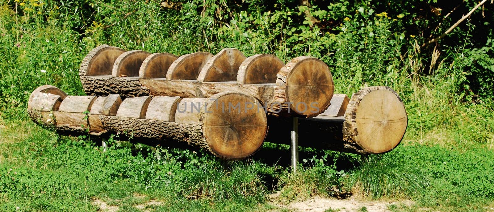 The tree trunk as a table and bench
