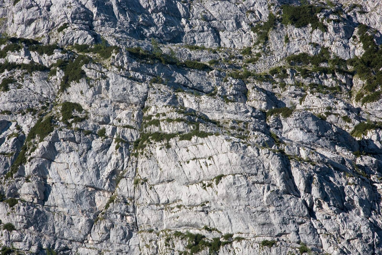 Stones and mountain forest in the Berchtesgaden National Park on the way to the Blue Ice Glacier