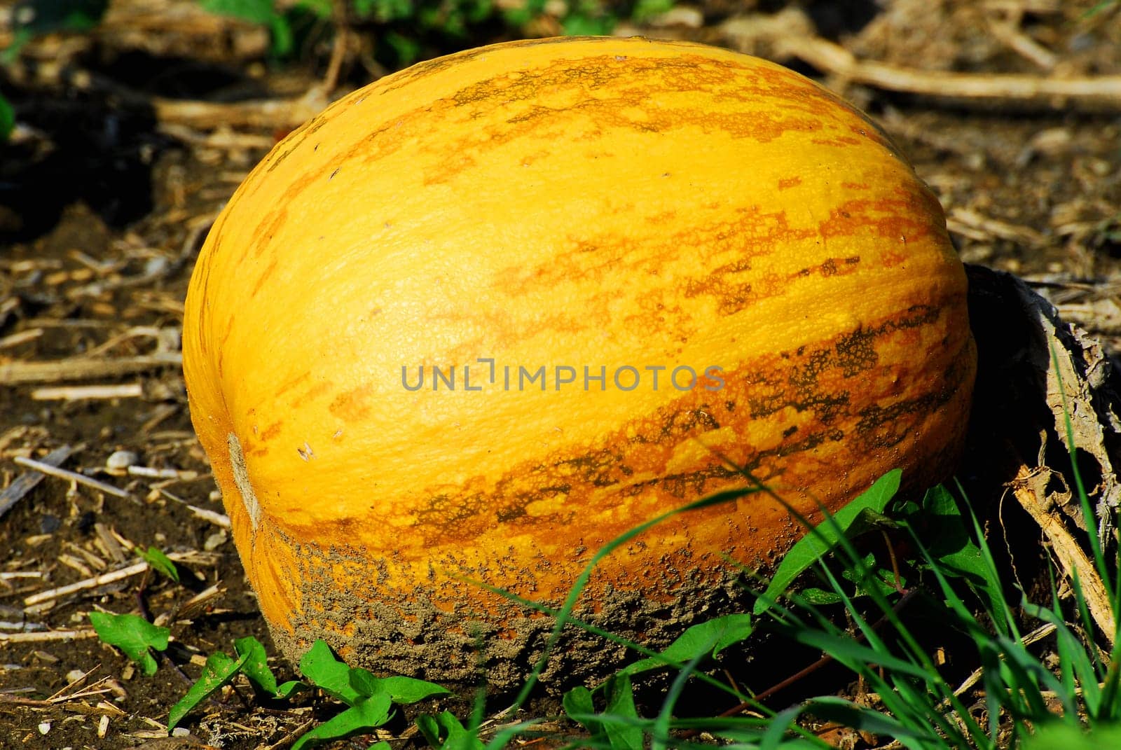 Autumn is here
