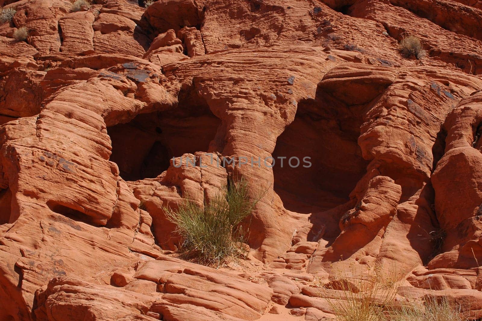 Valley of Fire