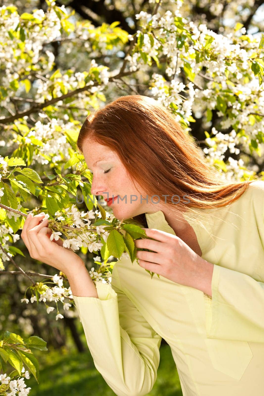 Summer - woman blossom tree park nature smell enjoy garden