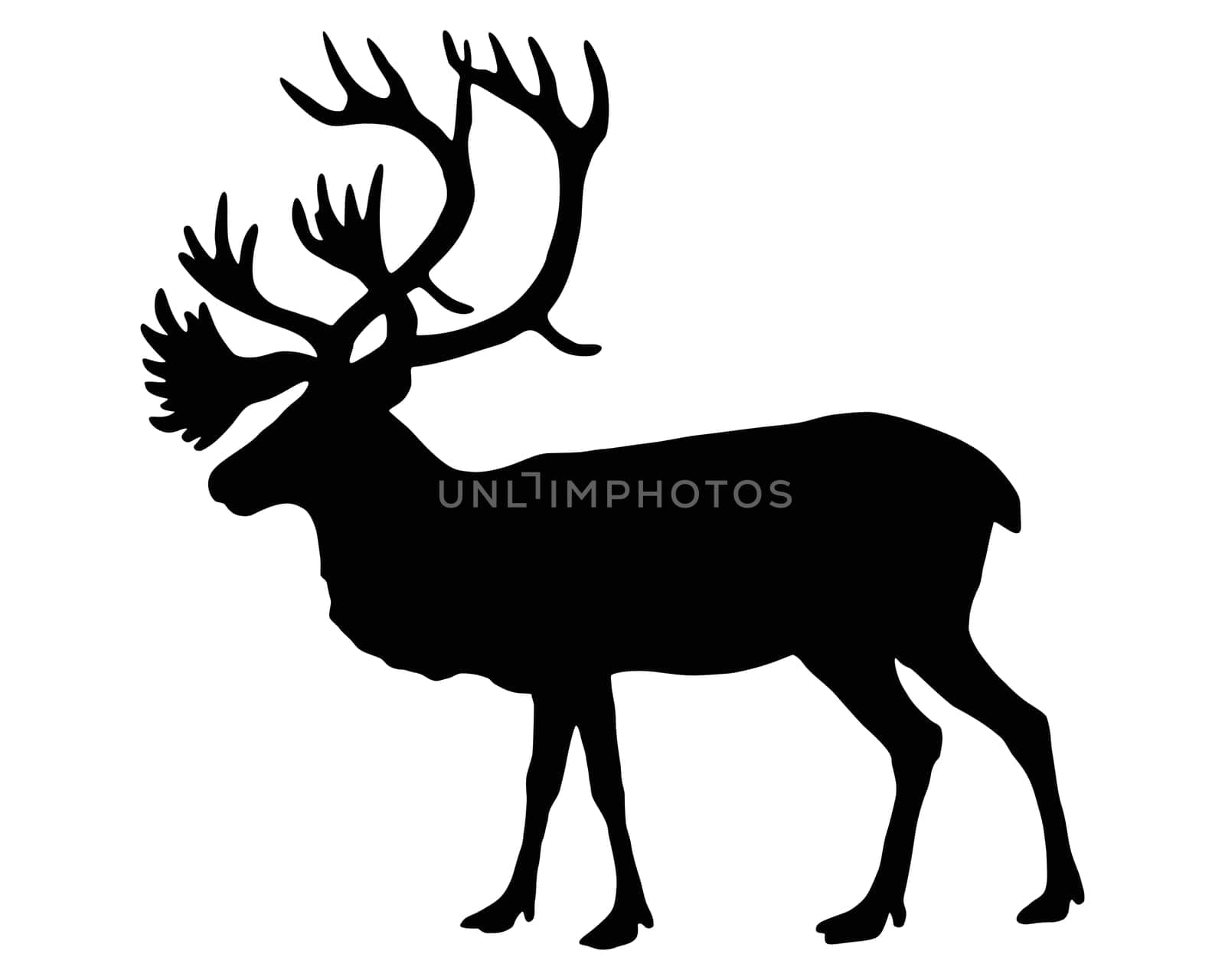 Caribou silhouette