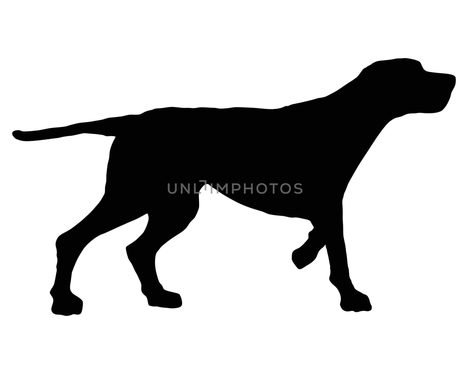 Setter