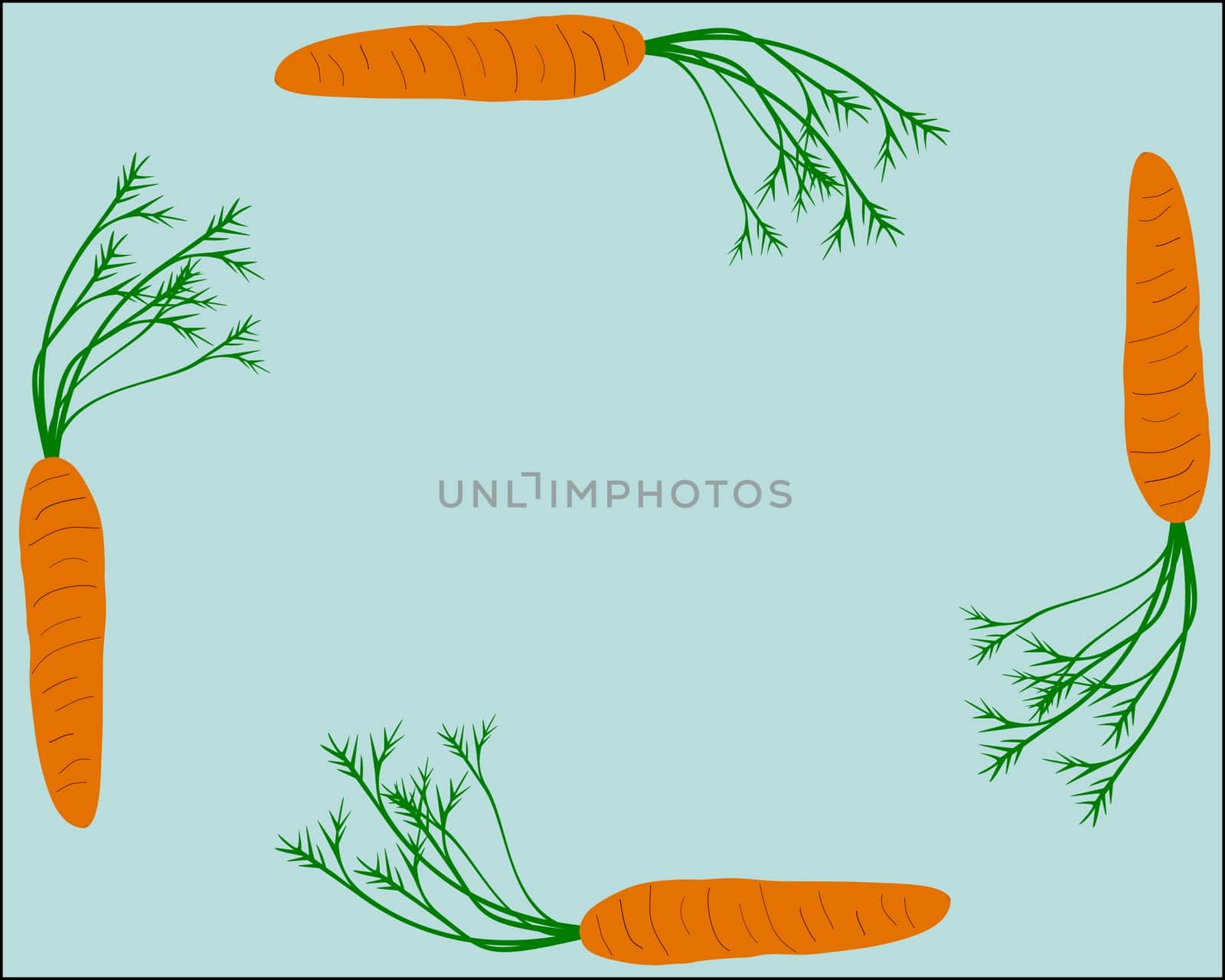 Carrots as a frame with a light blue background