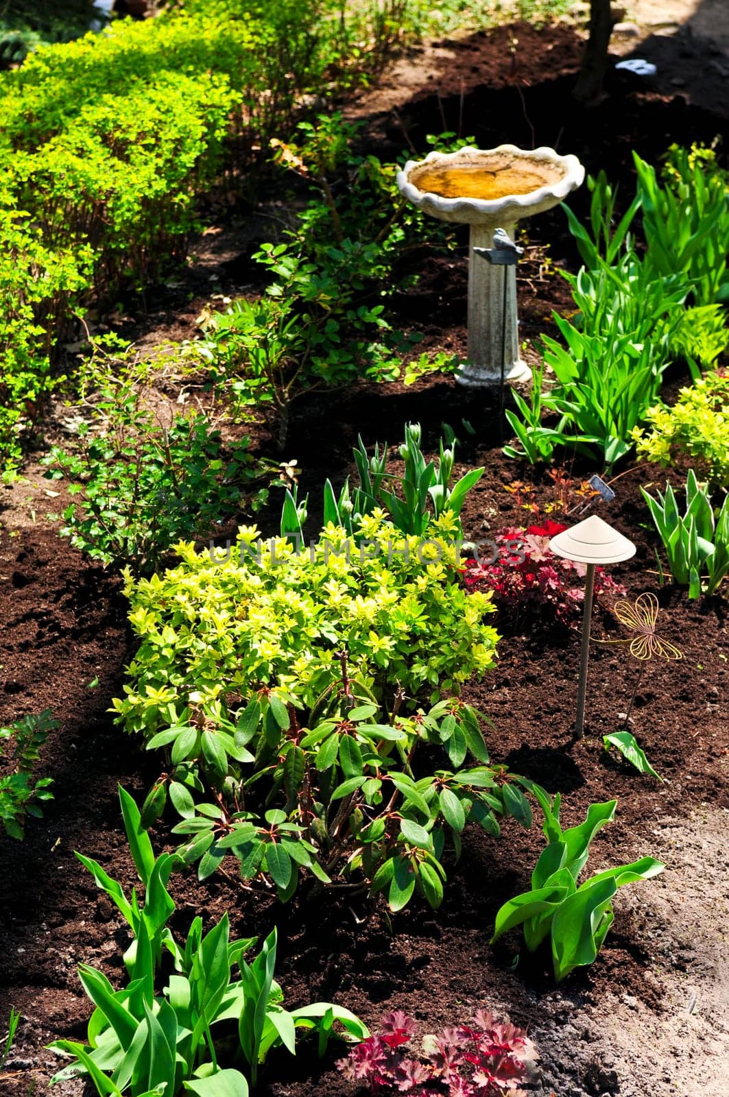 Spring garden