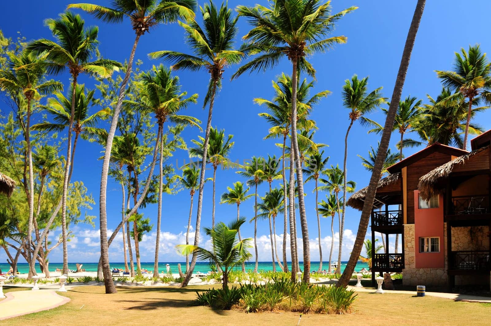 Tropical resort