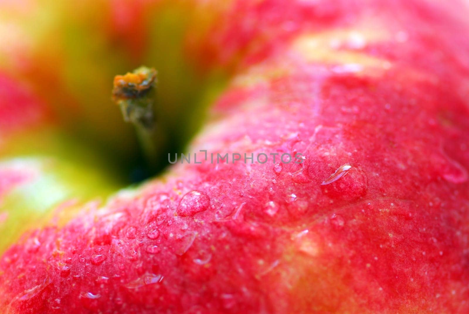 Red apple