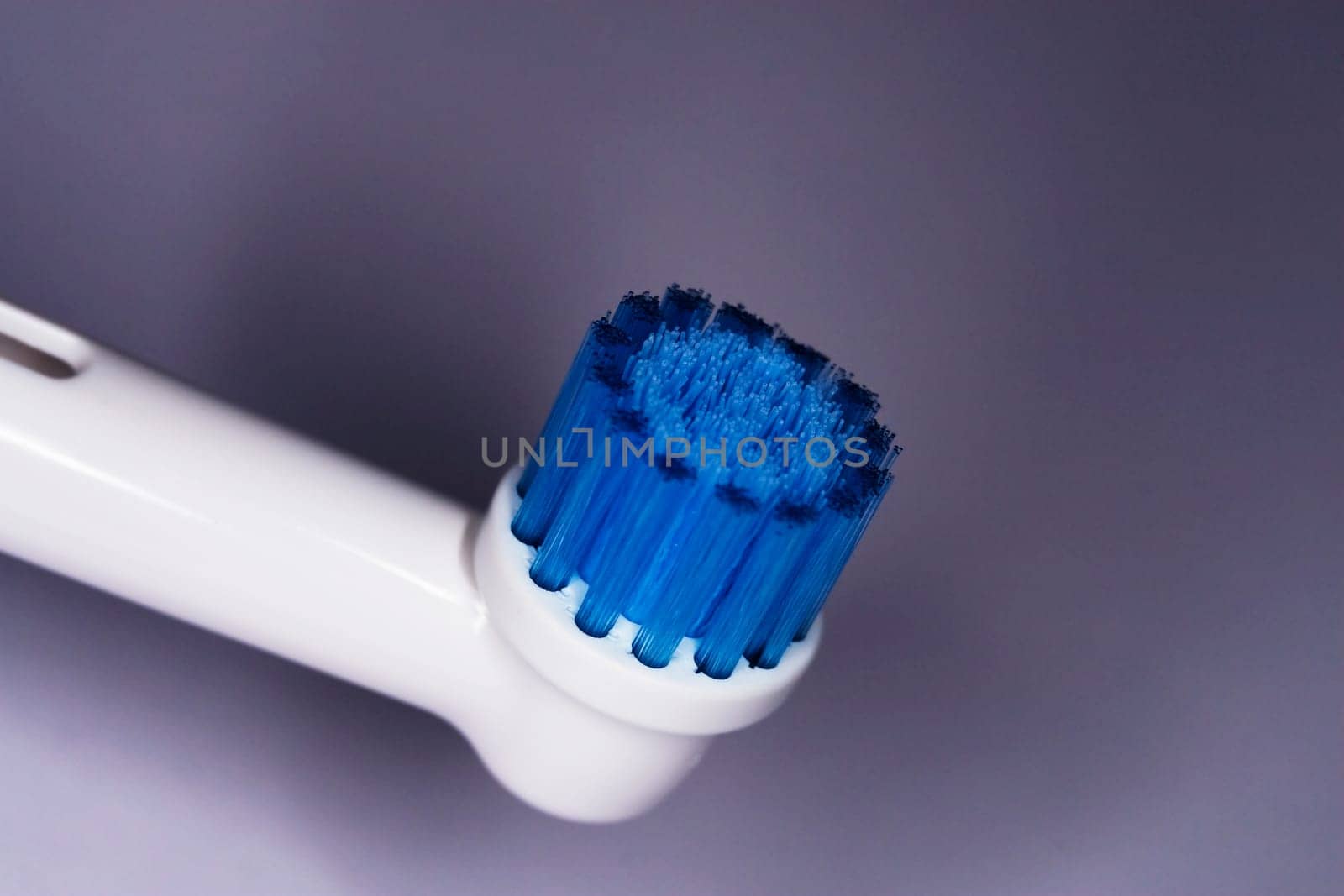 Toothbrush head