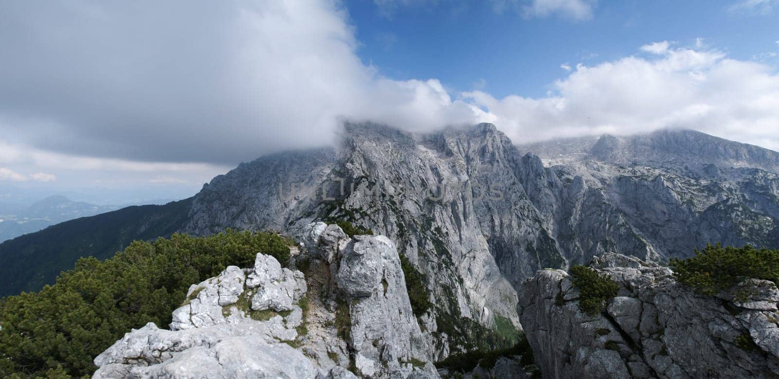 Alps panorama