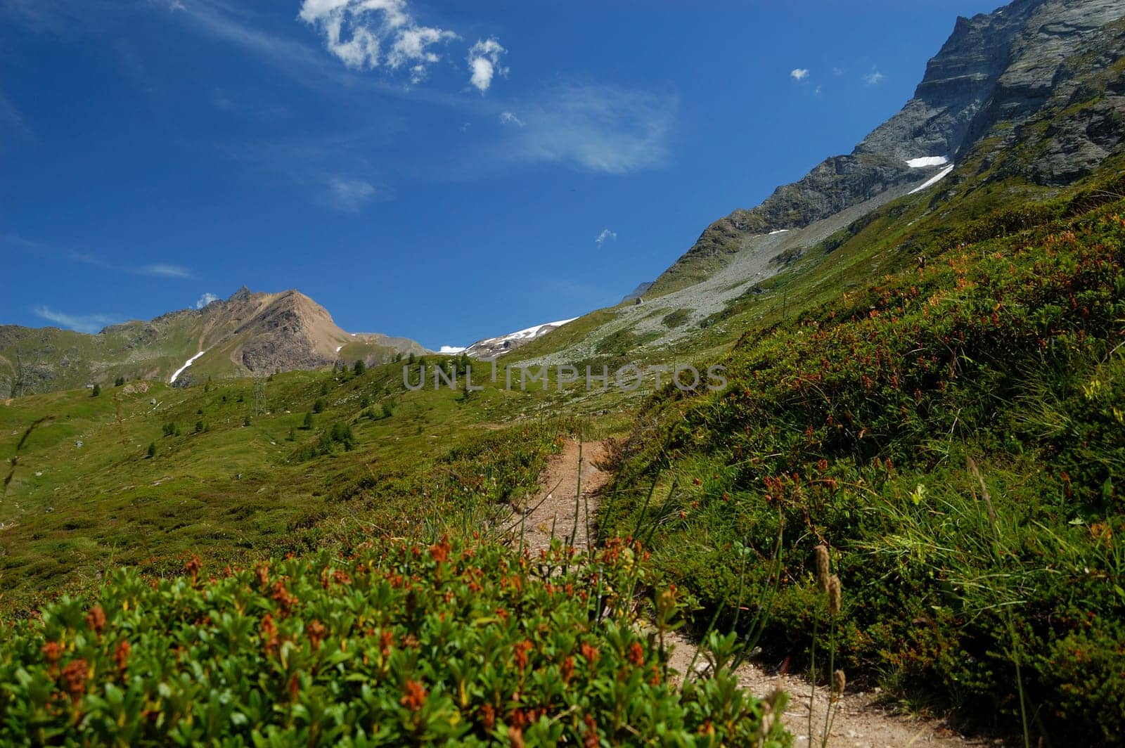 path to the mountain
