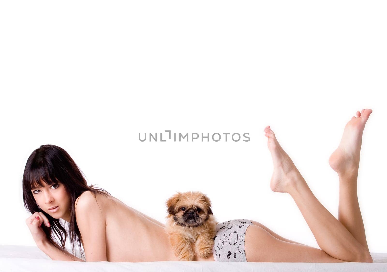 Puppy on the back