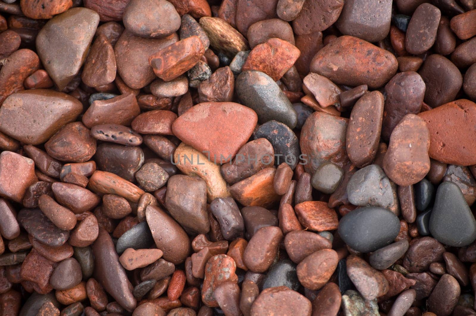 Lief Erickson Park rocks Macro