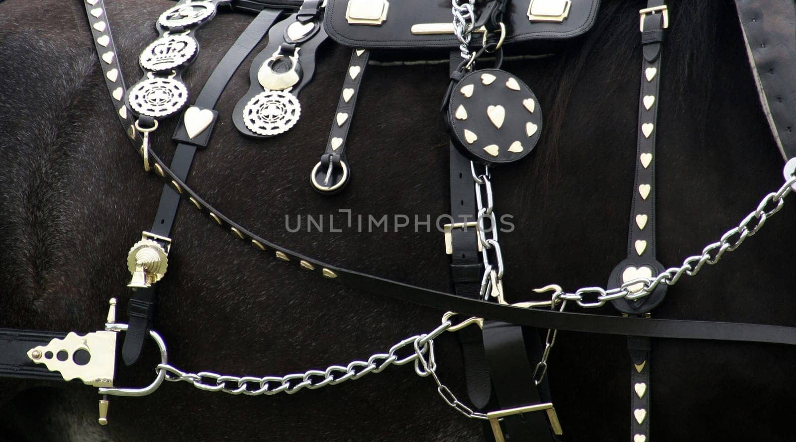 Horse Accessories
