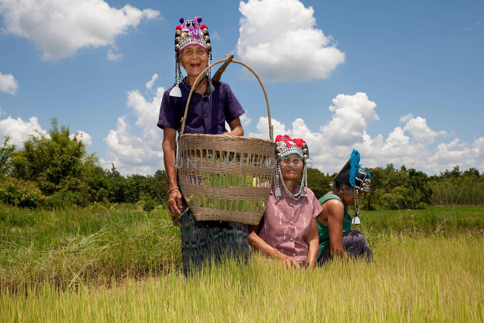 Asian women at rice field,Akha