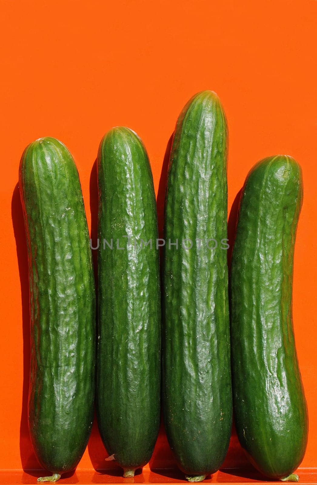 Cucumbers