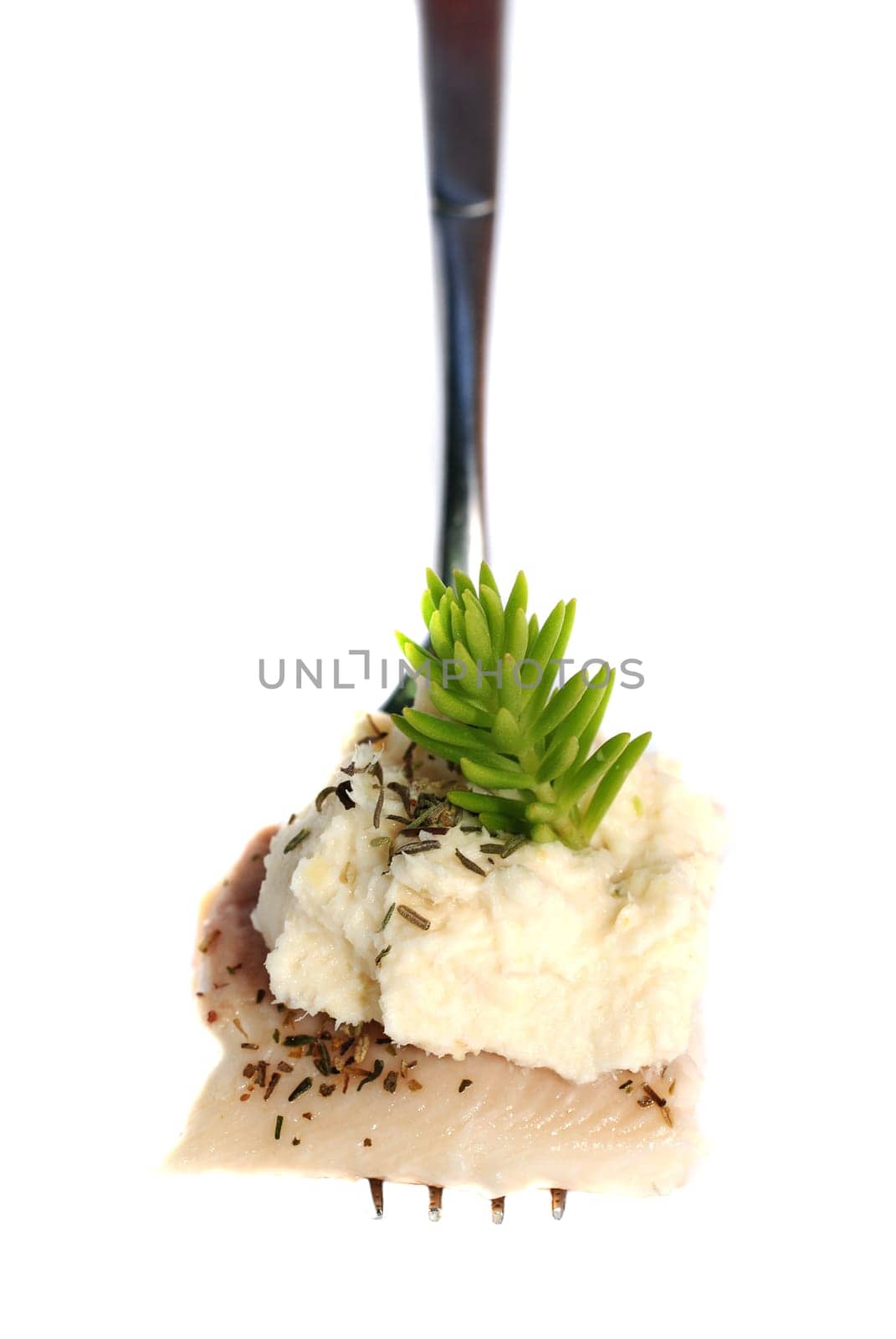 Trout fillet on a fork