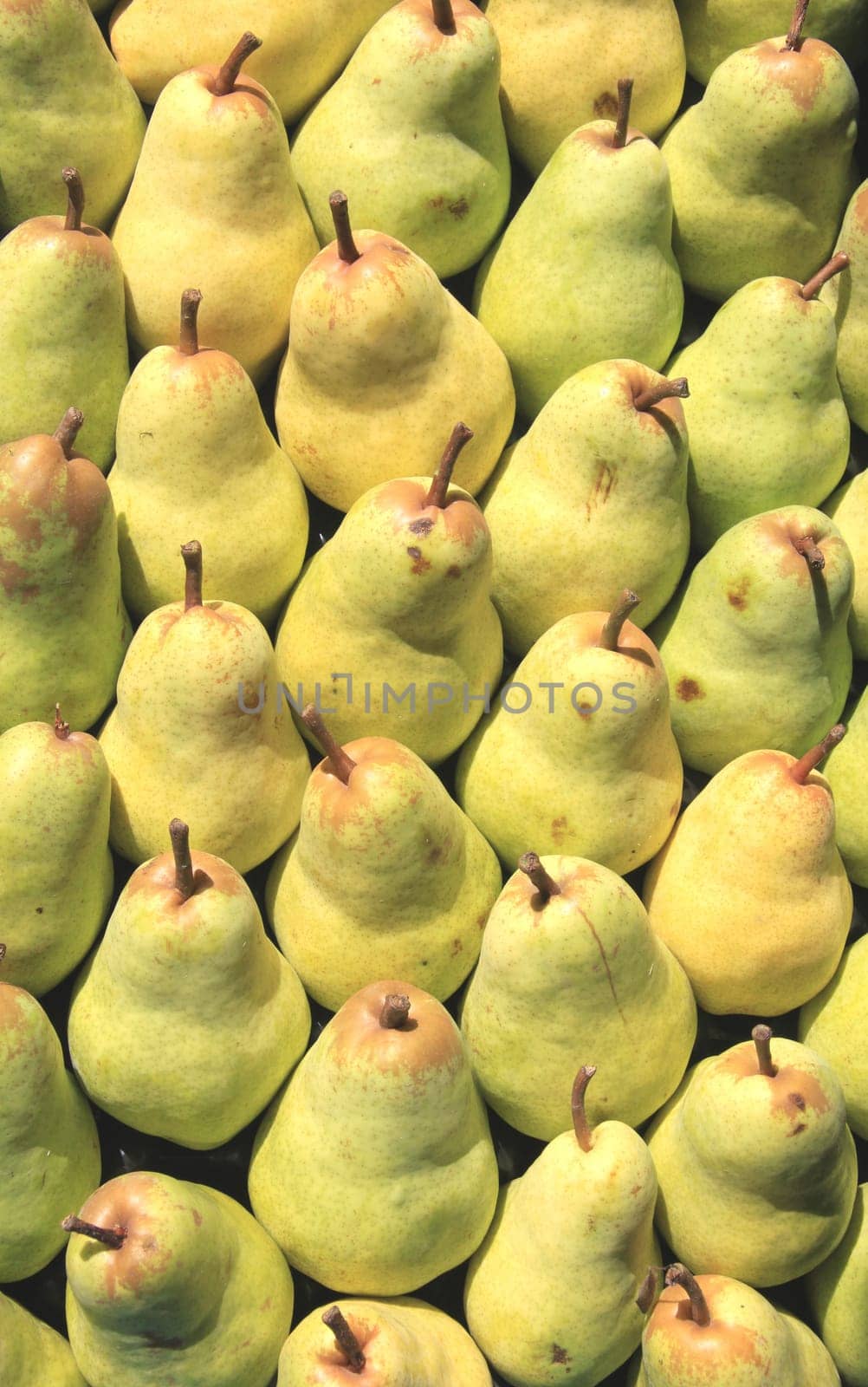 Pears
