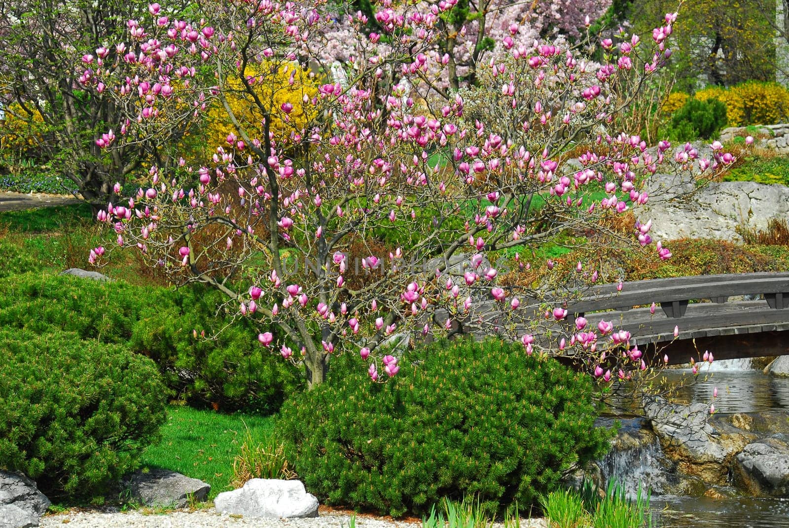 Recreation in spring