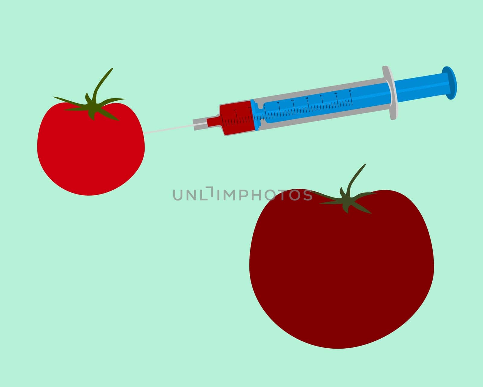 Genetically modified tomato