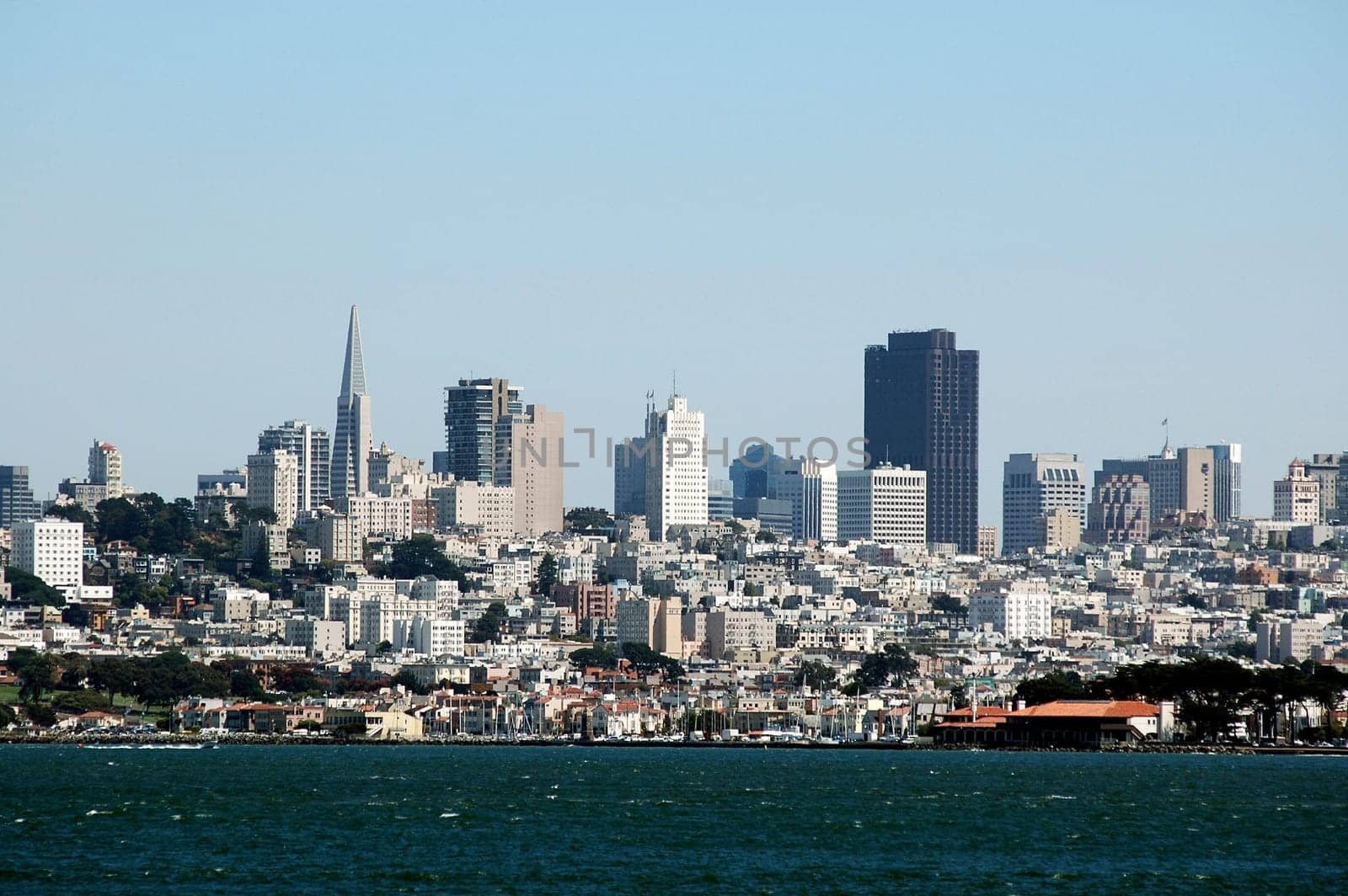 San Francisco Cityscape