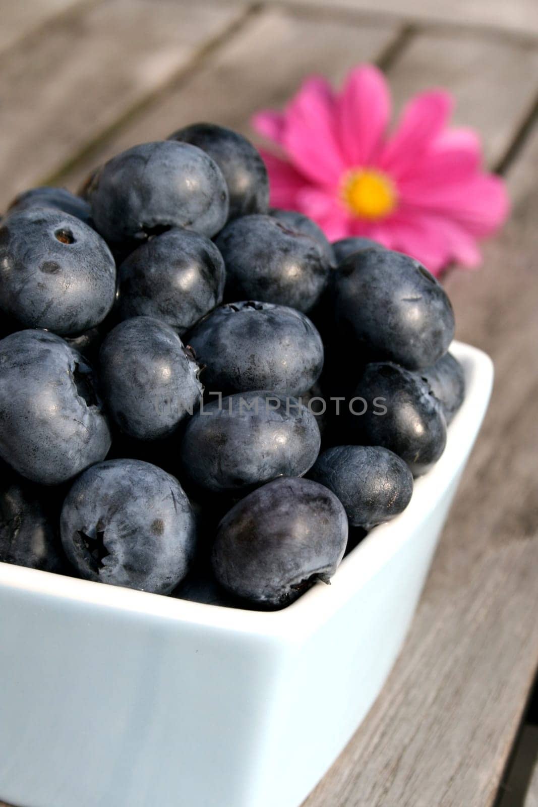 Blueberries