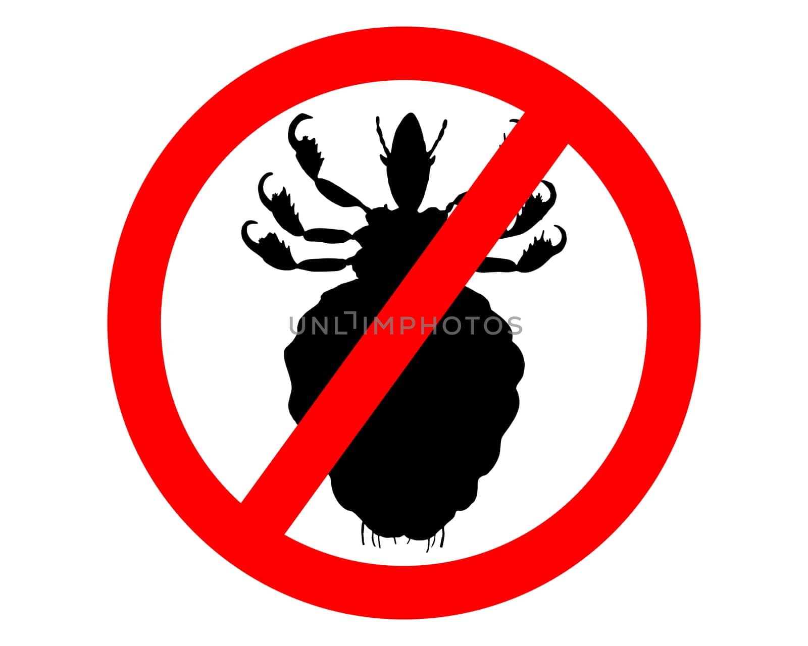 Prohibition sign for lice on white background