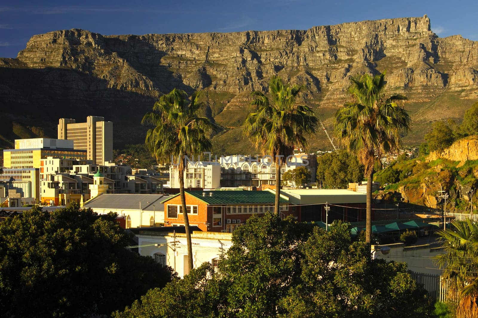 View of Table Mountain,Cape Town,South Africa