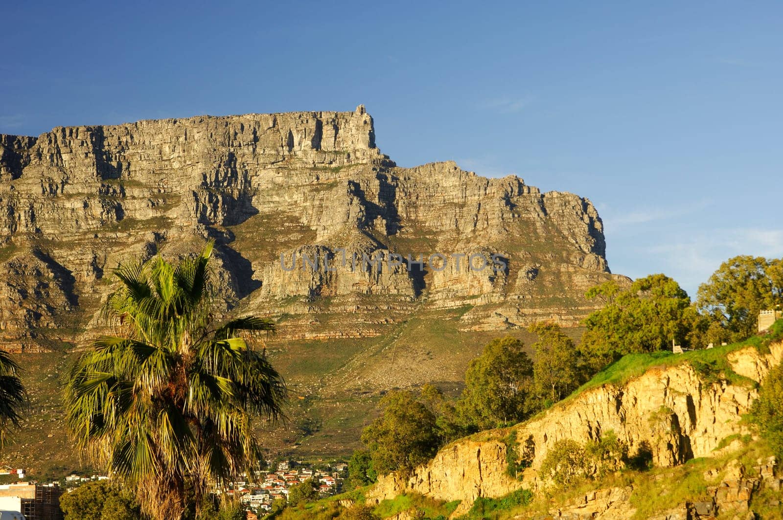 View of Table Mountain,Cape Town,South Africa