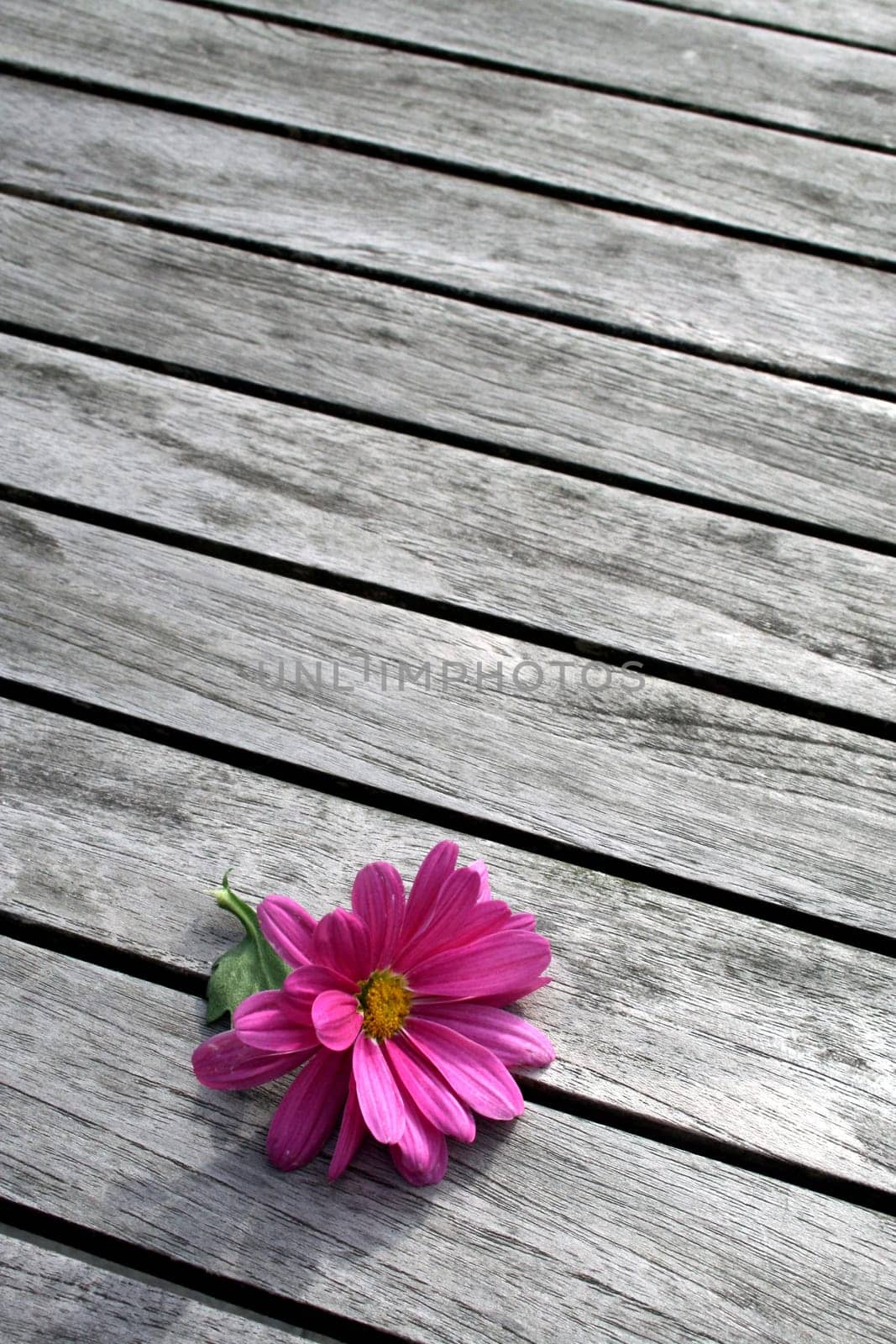 Alone