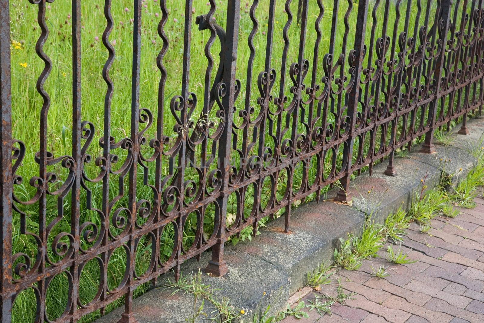 Old wrought iron metal garden fence