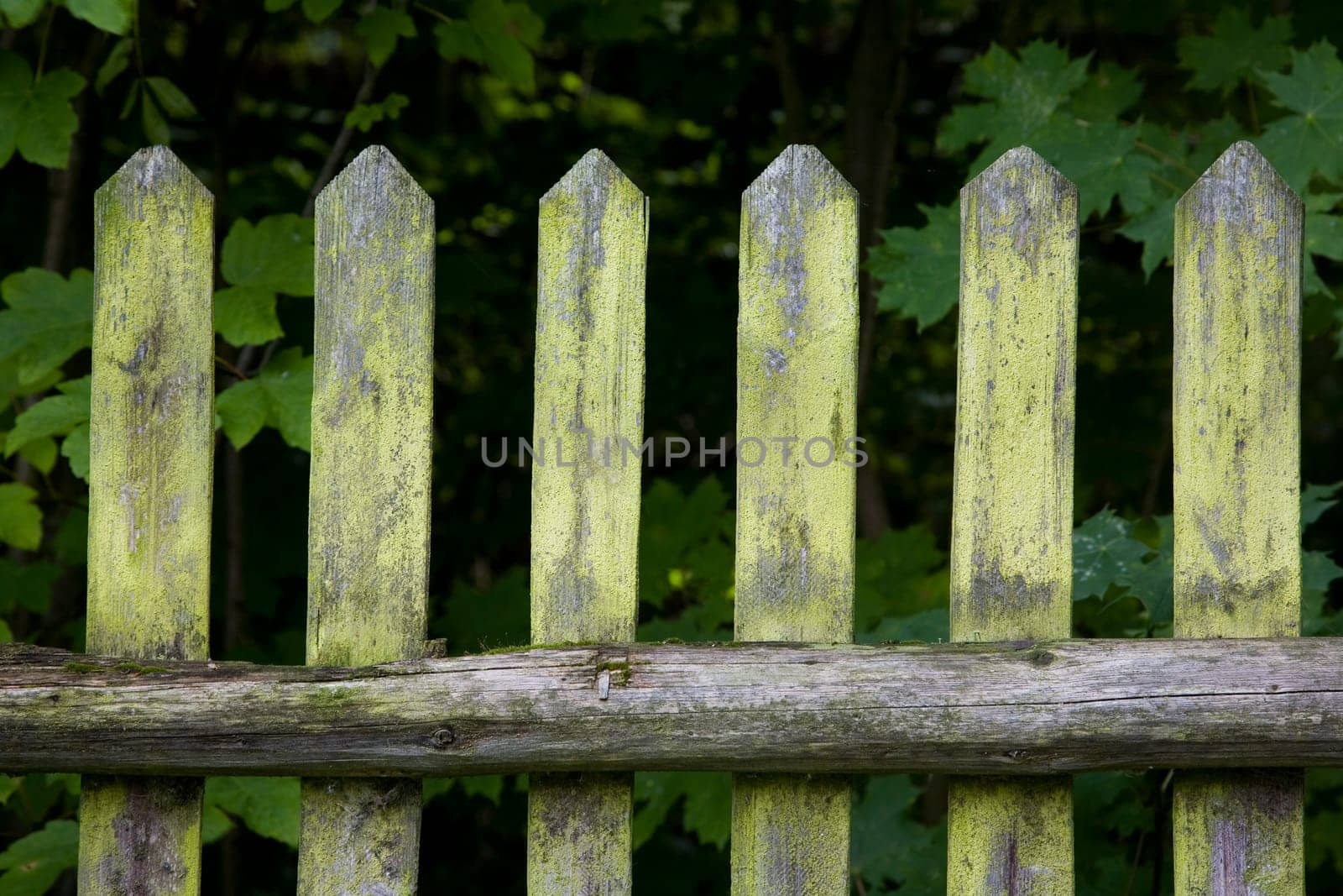 Old wooden garden fence in cottage garden