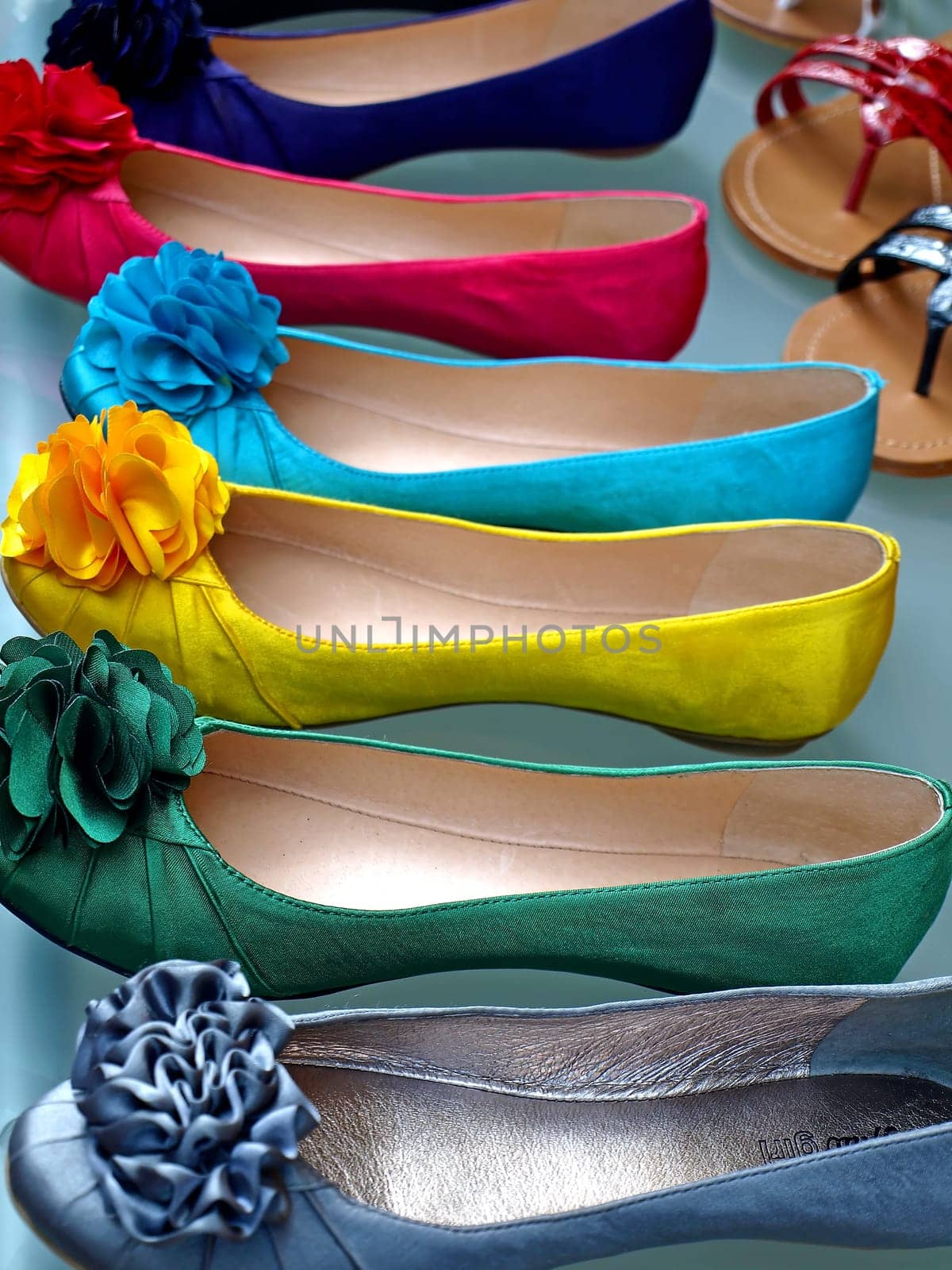 modern women's shoes